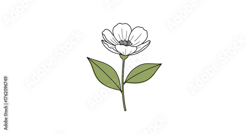Elegant minimalist flower illustration perfect for wedding invitations, branding, and sophisticated design projects needing natural beauty