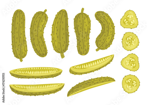 Pickles vector set. Various pickled cucumbers collection. Fermentation of vegetables. Food vector illustrations isolated on white background