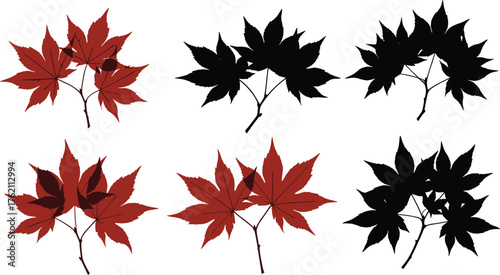 Maple leaf silhouette, red and black foliage, autumn botanical illustration, seasonal nature design, Japanese maple vector, decorative leaf cluster