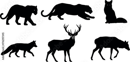 Collection of silhouette wildlife animals including tiger deer fox and wolf diverse fauna representation