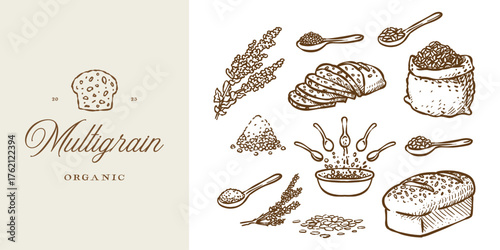 Multigrain loaf bread logo for bakery company. Illustration collection of bread, grain, seed, dough, and wood spoon set hand drawn style