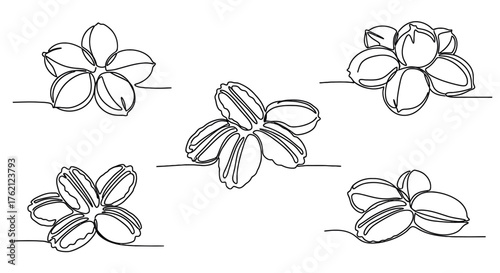 Five stylized flower outlines line art floral
