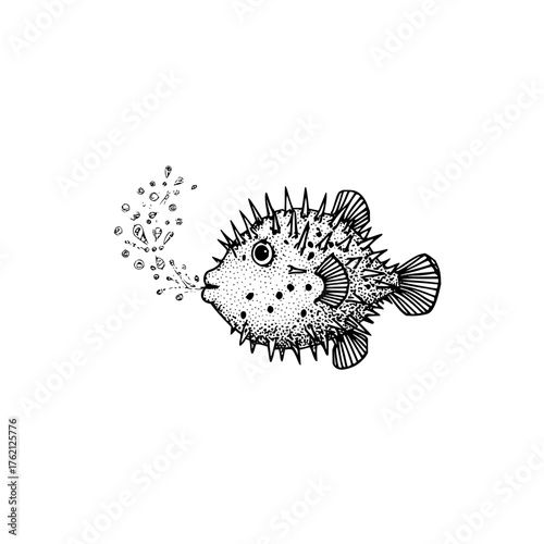 Illustration of a spiky pufferfish blowing bubbles in black and white with detailed line work and stippling