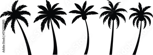Set of Black Palm Tree Silhouettes with Coconuts, Various Tropical Tree Shapes for Beach, Island, Vacation, and Summer Holiday Designs, Vector Illustration