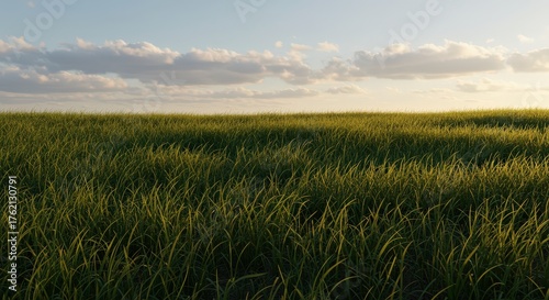 Green field under cloudy sky natural landscape daytime sunlight