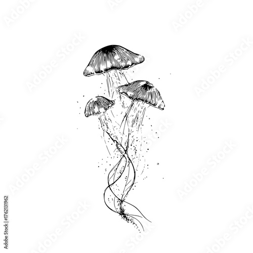 Three jellyfish in black and white ink drawing with flowing tentacles and dotted details are visible