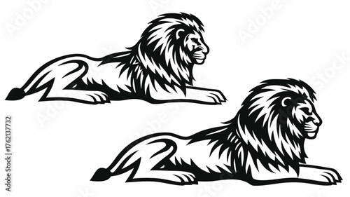 Two lions lying down in a black and white vector illustration with detailed manes and regal postures | editable eps vectors silhouette