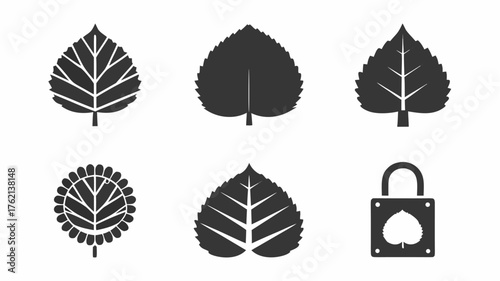 Illustration showing six black leaf icons with different designs and a padlock with a leaf shape cutout | editable eps vectors silhouette