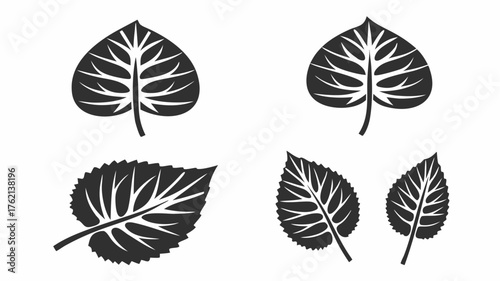 Collection of four leaf illustrations with different shapes and vein patterns in black and white color | editable eps vectors silhouette
