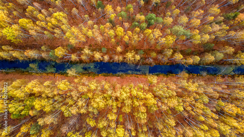 Top down view of river and colorful forest at autumn day.