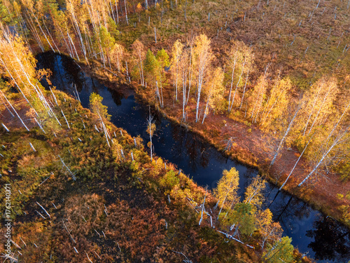 Top down view of river and colorful forest at autumn day.