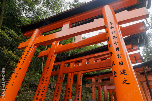 Photography Red torii gates at Fushimi Inari Shrine in Kyoto, Japan
