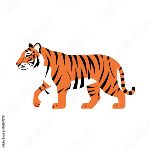 Illustration of a majestic tiger walking with bold orange and black stripes on a clean white background, capturing its powerful stride