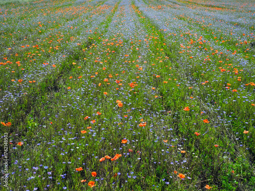 Austria, Agriculture, Field