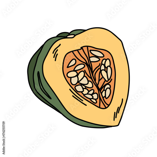 Half a winter squash with seeds and yellow pulp sliced acorn squash