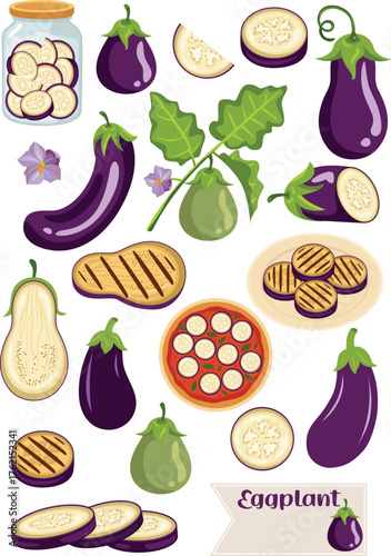 Colorful Collection of Fresh and Cooked Eggplants