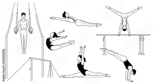 Gymnasts performing dynamic routines on various apparatus with strength and grace