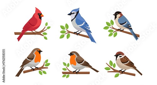Colorful birds perched on branches, a vibrant display of nature's beauty and wonder