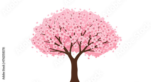 Blooming cherry blossom tree in full spring with delicate pink flowers and fresh leaves