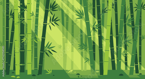 Sunlight streams through vibrant green bamboo forest creating peaceful, serene atmosphere