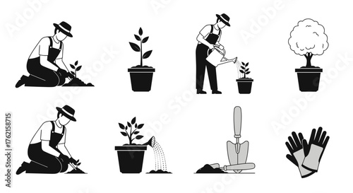 Gardener planting and caring for young plants in pots, nurturing growth and nature