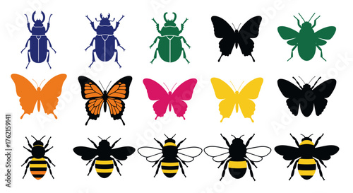 Vibrant insect collection: Beetles, butterflies, bees for nature education and design projects