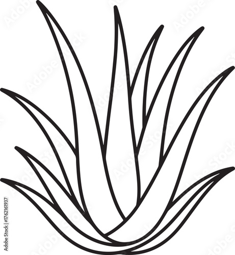 Aloe Vera line art, coloring book page line art drawing, vector and illustration