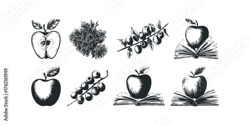 Hand Drawn Collection of Apples and Berries on Branches