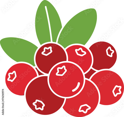 Fresh ripe cranberries cluster healthy organic food illustration simple flat design vector