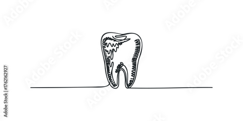 Single Line Drawing of a Human Tooth