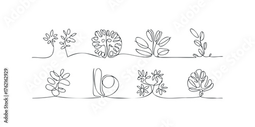 Abstract continuous line drawings of diverse plant foliage
