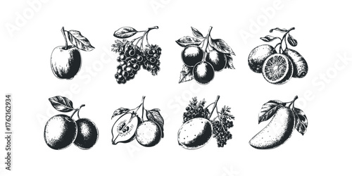 Collection of Hand Drawn Fruits with Leaves