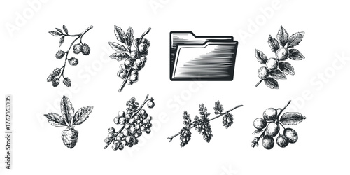 Collection of botanical elements and document folder