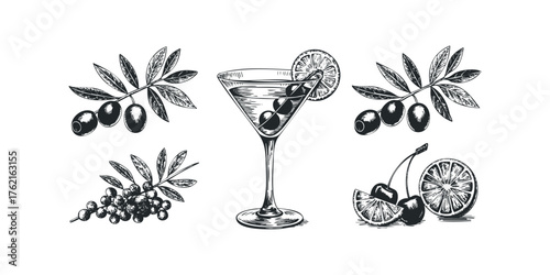 Sketch of martini glass with olives and citrus fruit slices