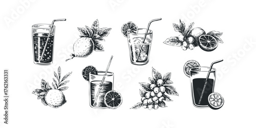 Assortment of Fruity Drinks with Citrus Slices