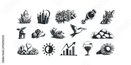 Collection of hand drawn sketch icons nature and abstract elements