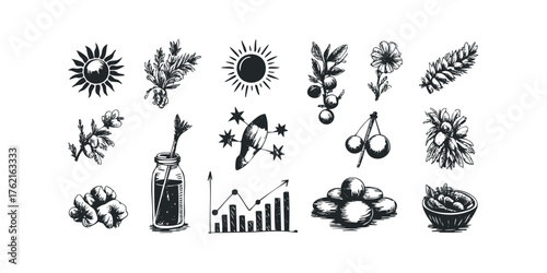 Collection of Hand Drawn Icons with Natural and Business Elements