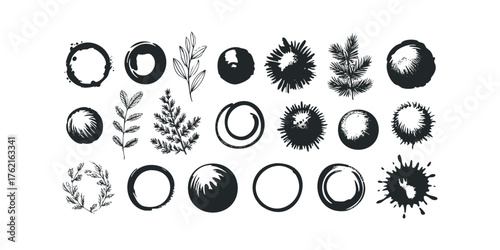 Collection of Hand Drawn Botanical and Abstract Graphic Elements