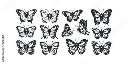 Collection of Black and White Butterfly Silhouettes