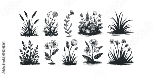 Collection of Hand Drawn Black Wildflower Silhouettes