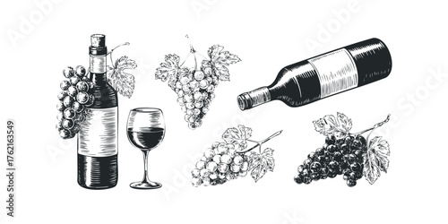 Black ink drawing of wine bottle and grapes