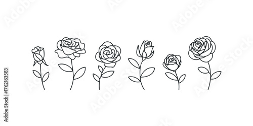 Set of Line Drawing Roses