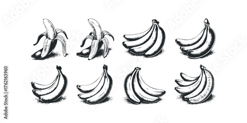 Group of Bananas in Sketchy Style