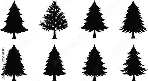 Collection of pine and fir tree silhouettes, black evergreen forest vector illustration, nature design elements for decoration, artwork, and logo