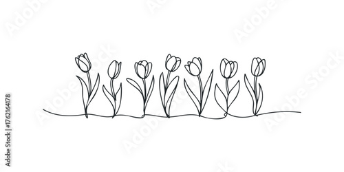 Continuous line drawing of multiple tulips