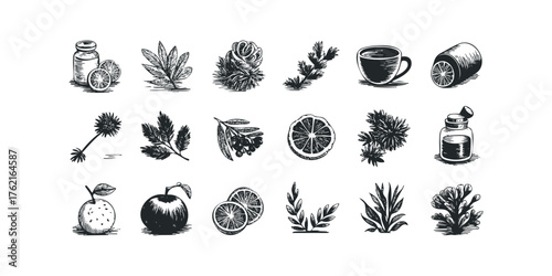 Hand drawn botanical elements for herbal remedies and potions