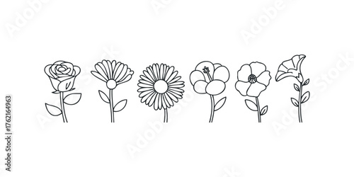 Collection of six simple flower line drawings