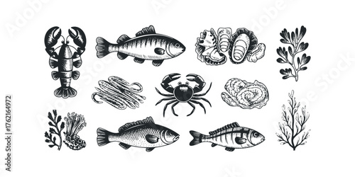 Collection of Black and White Seafood and Marine Life Illustrations