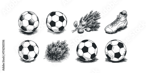 Group of Soccer Balls and Wheat Stalks