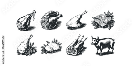 Set of Meat Cuts and Pig Illustration